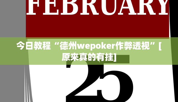 玩家辅助神器:wepoker透视作弊方法”原来确实有挂