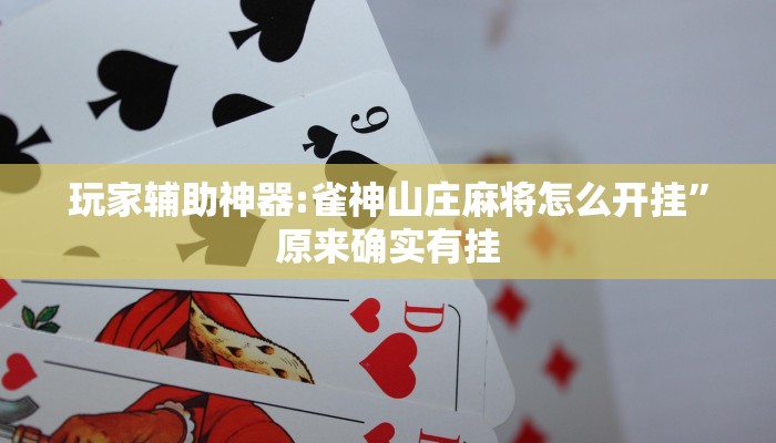 教程辅助“红龙poker私人局透视插件挂”其实确实有挂