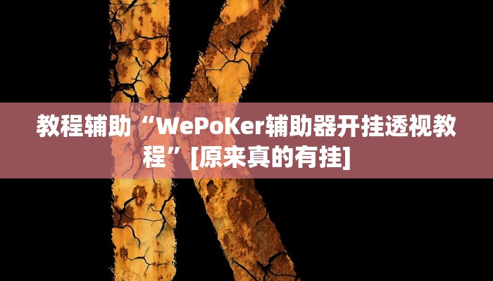 教程辅助“WePoKer辅助器开挂透视教程”[原来真的有挂]