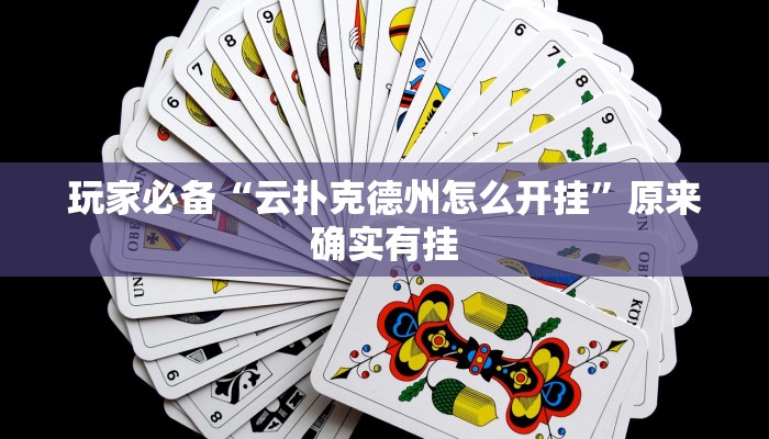 辅助神器“pokerrrr2怎么开挂控制输赢”![果然有透视挂]