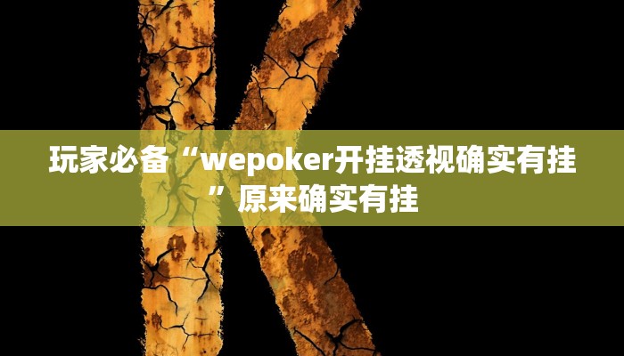 玩家必备“wepoker开挂透视确实有挂”原来确实有挂