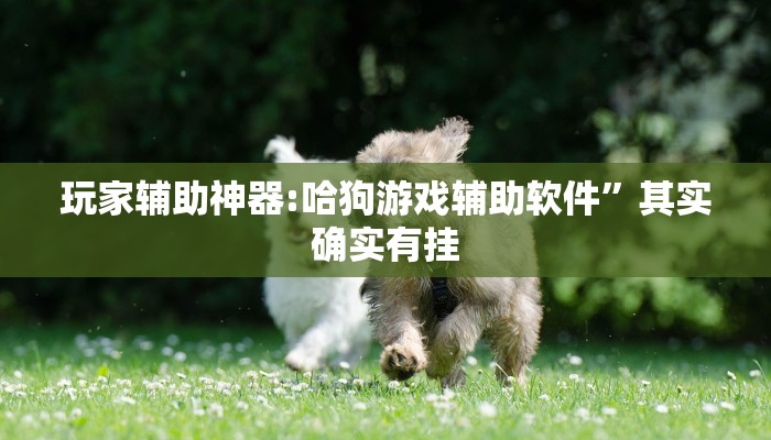 玩家辅助神器:微竞吉林麻将开挂神器”原来确实有挂 玩家辅助神器:微竞吉林麻将开挂神器”原来确实有挂