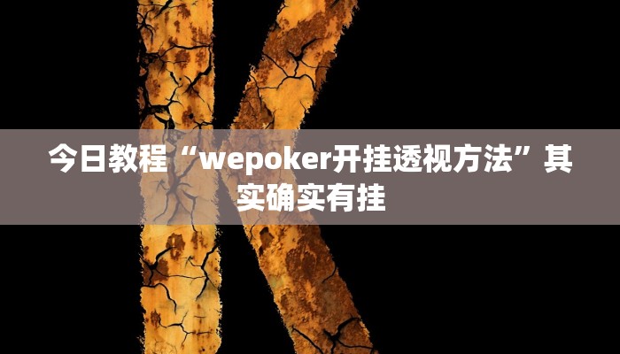 今日教程“wepoker开挂透视方法”其实确实有挂