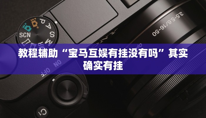 教程辅助“宝马互娱有挂没有吗”其实确实有挂