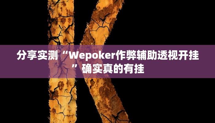 辅助神器“德州werplan作弊辅助透视”![果然有透视挂]