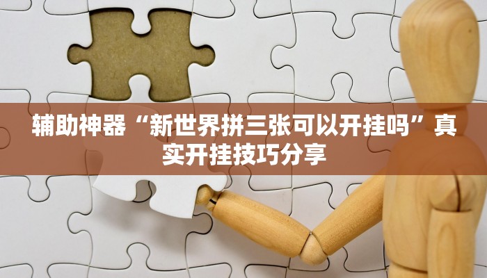 辅助神器“全民十三水有透视挂吗”![果然有透视挂]
