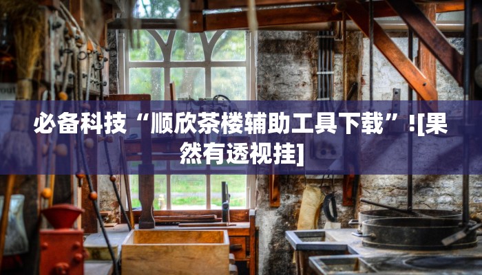 辅助神器“填大坑透视”!开挂”![果然有透视挂]