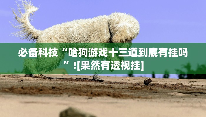 分享实测“新鸿狐大厅透视挂”确实真的有挂