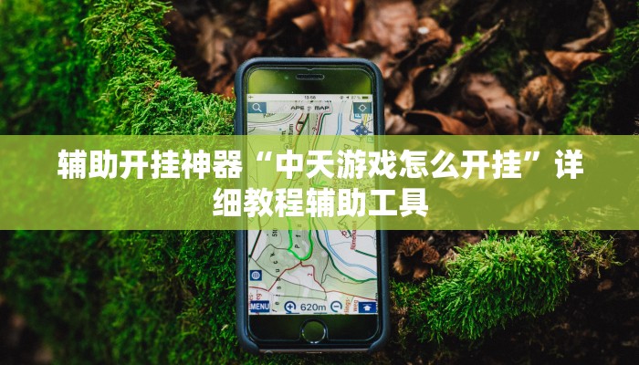 玩家辅助神器:wepoker作弊辅助教程”其实确实有挂