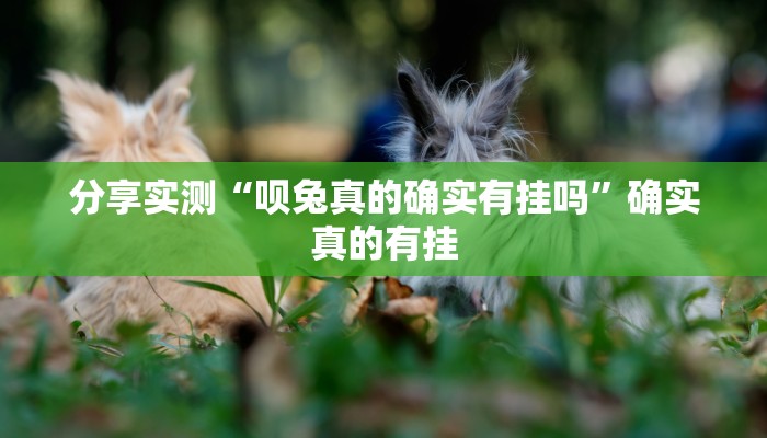 分享实测“决胜奕福麻将到底有没有挂”确实真的有挂