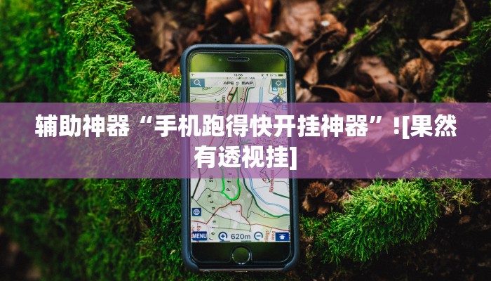 辅助神器“手机跑得快开挂神器”![果然有透视挂]
