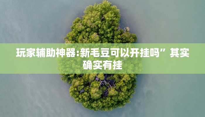 玩家辅助神器:新毛豆可以开挂吗”其实确实有挂 玩家辅助神器:新毛豆可以开挂吗”其实确实有挂