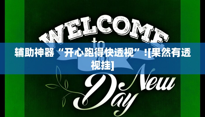 辅助神器“开心跑得快透视”![果然有透视挂]