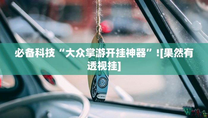 必备科技“大众掌游开挂神器”![果然有透视挂]