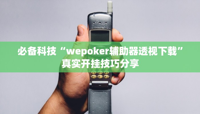必备科技“wepoker辅助器透视下载”真实开挂技巧分享