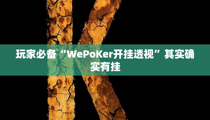 玩家必备“WePoKer开挂透视”其实确实有挂