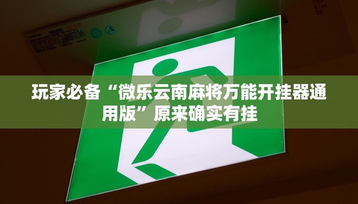 玩家必备“微乐云南麻将万能开挂器通用版”原来确实有挂 玩家必备“微乐云南麻将万能开挂器通用版”原来确实有挂