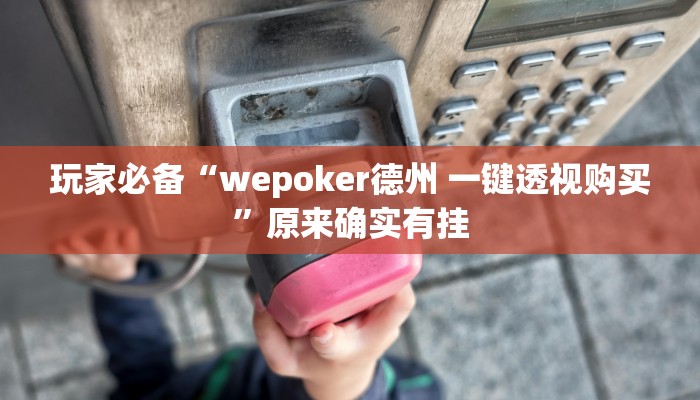玩家必备“wepoker德州 一键透视购买”原来确实有挂