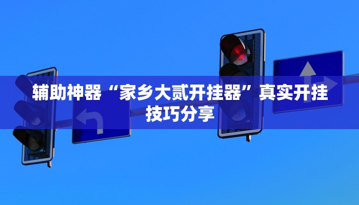 辅助神器“家乡大贰开挂器”真实开挂技巧分享