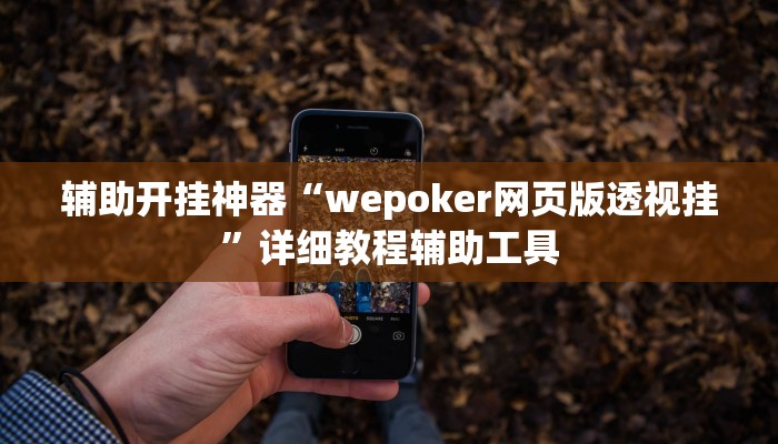 辅助开挂神器“wepoker网页版透视挂”详细教程辅助工具