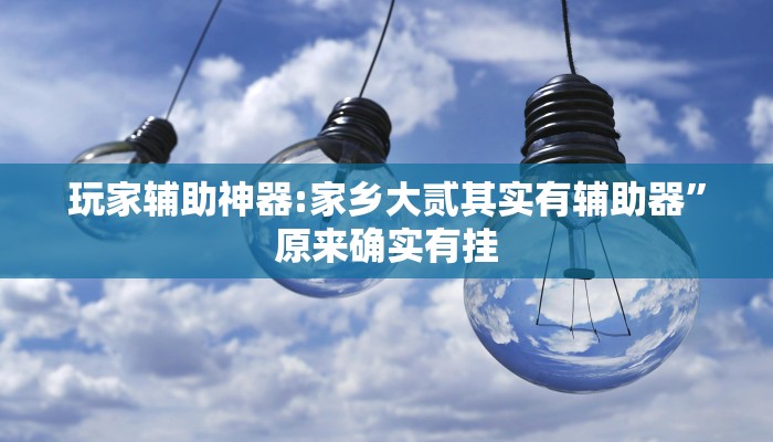 玩家辅助神器:家乡大贰其实有辅助器”原来确实有挂