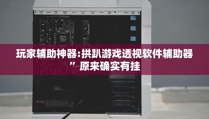 玩家辅助神器:拱趴游戏透视软件辅助器”原来确实有挂