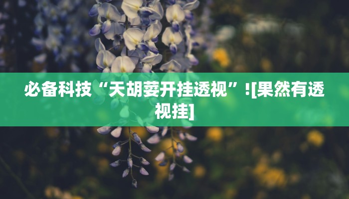 必备科技“天胡荽开挂透视”![果然有透视挂]