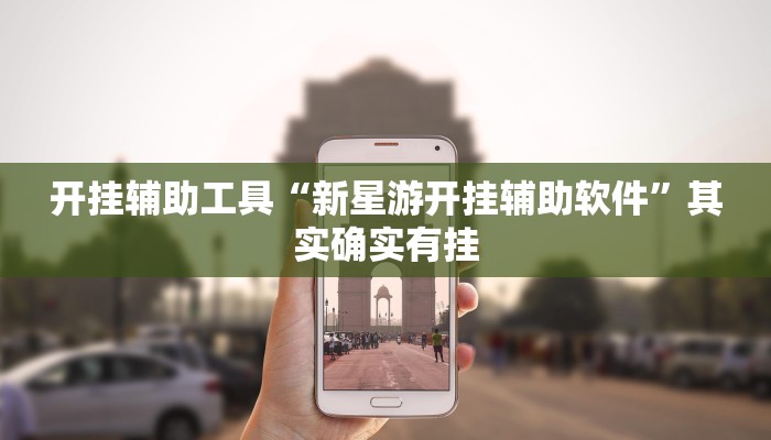 开挂辅助工具“新星游开挂辅助软件”其实确实有挂