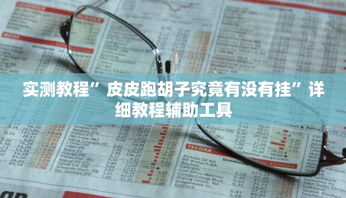 实测教程”皮皮跑胡子究竟有没有挂”详细教程辅助工具