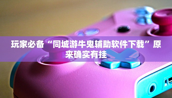 玩家必备“同城游牛鬼辅助软件下载”原来确实有挂