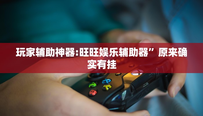 玩家辅助神器:旺旺娱乐辅助器”原来确实有挂