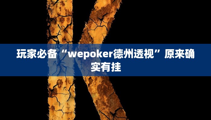 玩家必备“wepoker德州透视”原来确实有挂
