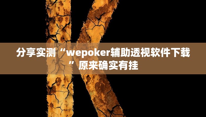 分享实测“wepoker辅助透视软件下载”原来确实有挂