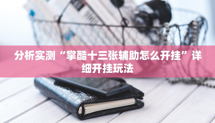 分析实测“掌酷十三张辅助怎么开挂”详细开挂玩法