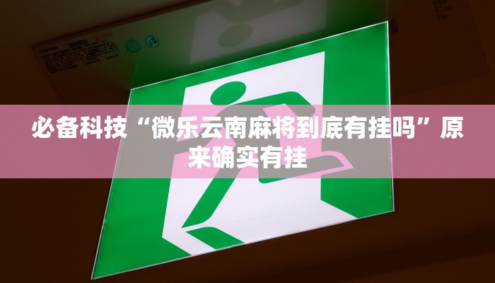 必备科技“微乐云南麻将到底有挂吗”原来确实有挂