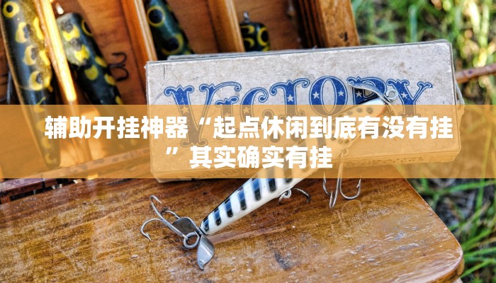 辅助开挂神器“起点休闲到底有没有挂”其实确实有挂