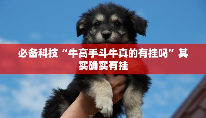必备科技“牛高手斗牛真的有挂吗”其实确实有挂