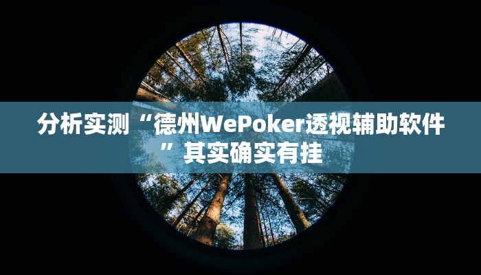 分析实测“德州WePoker透视辅助软件”其实确实有挂 分析实测“德州WePoker透视辅助软件”其实确实有挂