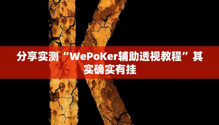 分享实测“WePoKer辅助透视教程”其实确实有挂