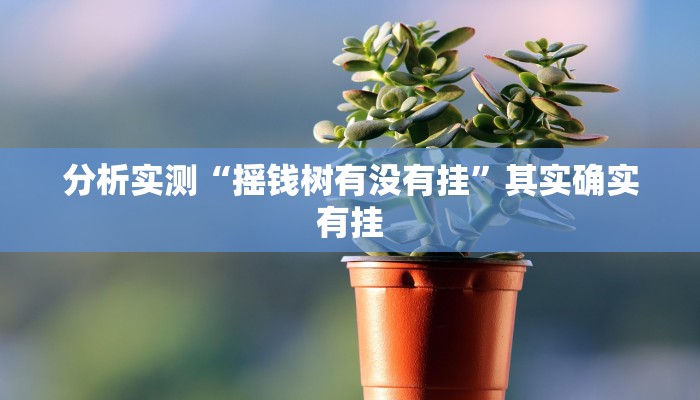 分析实测“摇钱树有没有挂”其实确实有挂