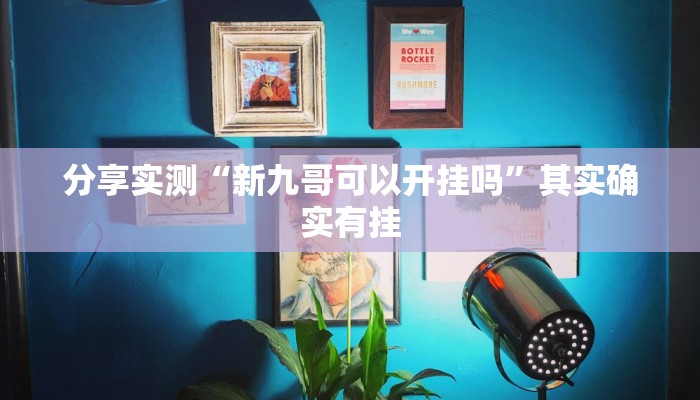 分享实测“新九哥可以开挂吗”其实确实有挂