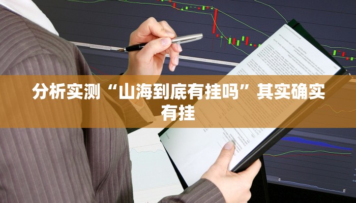 分析实测“山海到底有挂吗”其实确实有挂