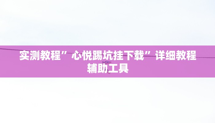 实测教程”心悦踢坑挂下载”详细教程辅助工具
