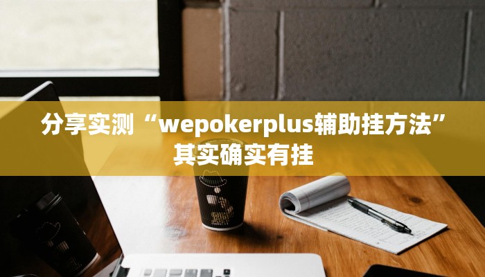 分享实测“wepokerplus辅助挂方法”其实确实有挂