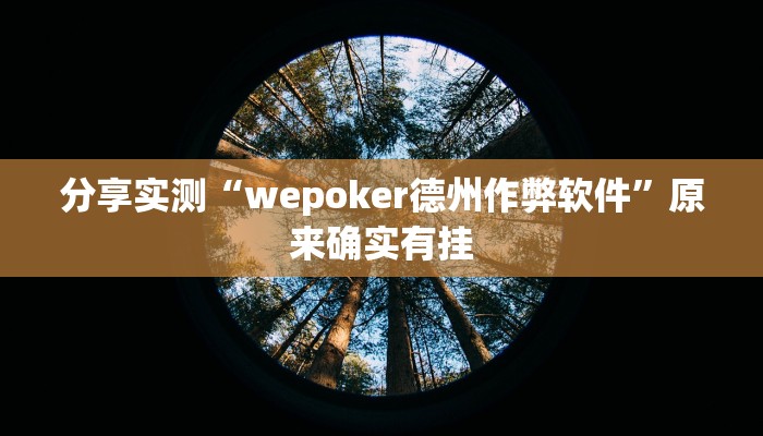 分享实测“wepoker德州作弊软件”原来确实有挂