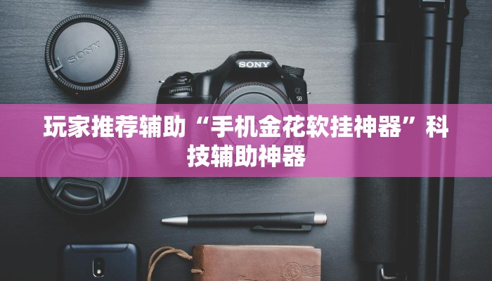 玩家推荐辅助“手机金花软挂神器”科技辅助神器